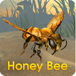 �۷�ģ����ios��������-Honey Bee Simulator��������v1.0
