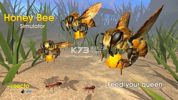 �۷�ģ����ios��������-Honey Bee Simulator��������v1.0
